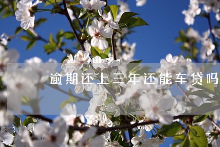 逾期还上三年还能车贷吗