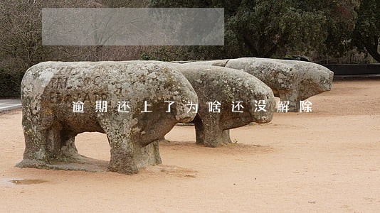 逾期还上了为啥还没解除 逾期还上了为啥还没解除
