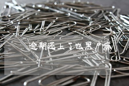 逾期还上了也黑户嘛 逾期还上了也黑户嘛