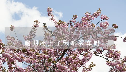 逾期还上了影响买车吗 逾期还上了影响买车吗