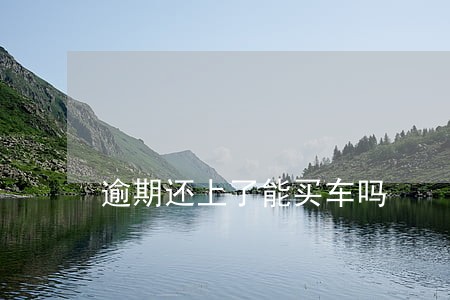 逾期还上了能买车吗