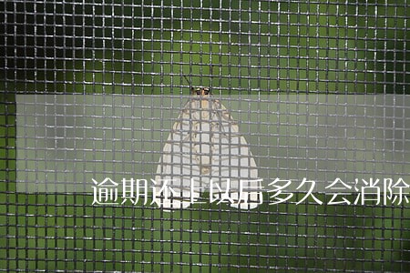 逾期还上以后多久会消除