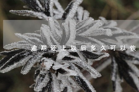 逾期还上以后多久可以恢复征信 逾期还上以后多久可以恢复征信