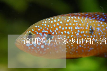 逾期还上后多少时间能消 逾期还上后多少时间能消