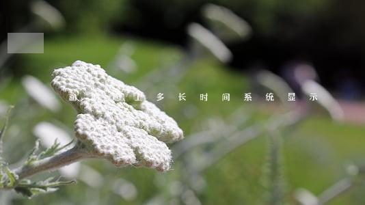 逾期还上多长时间系统显示 逾期还上多长时间系统显示