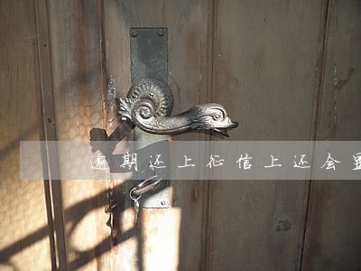 逾期还上征信上还会显示吗 逾期还上征信上还会显示吗