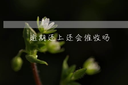 逾期还上还会催收吗 逾期还上还会催收吗