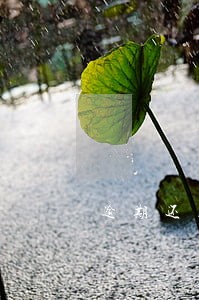 逾期还上还是黑户吗 逾期还上还是黑户吗