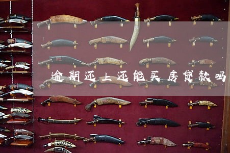 逾期还上还能买房贷款吗 逾期还上还能买房贷款吗