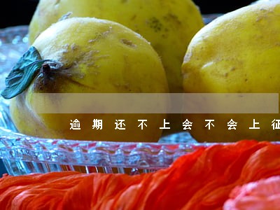 逾期还不上会不会上征信 逾期还不上会不会上征信