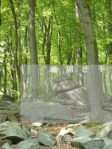 逾期还不上会有什么后果 逾期还不上会有什么后果