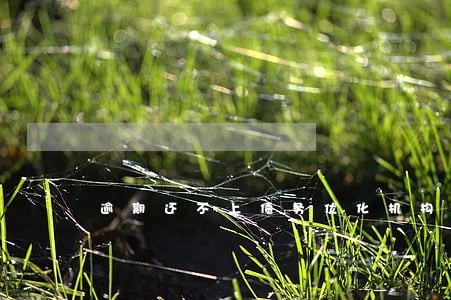 逾期还不上债务优化机构靠谱吗 逾期还不上债务优化机构靠谱吗