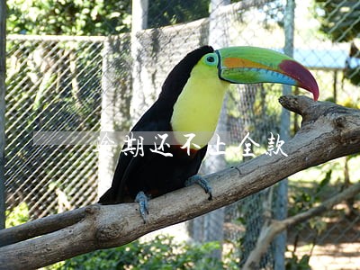逾期还不上全款 逾期还不上全款