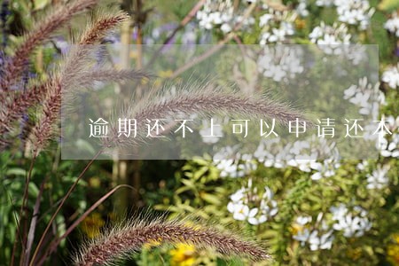 逾期还不上可以申请还本金吗 逾期还不上可以申请还本金吗