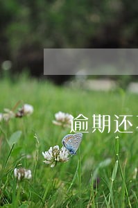 逾期还不上怎么办理房贷 逾期还不上怎么办理房贷