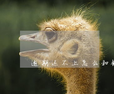 逾期还不上怎么和银行谈 逾期还不上怎么和银行谈