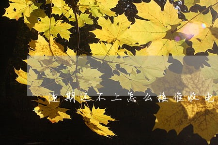 逾期还不上怎么接催收电话