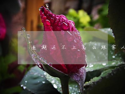 逾期还不上怎么跟家人说