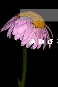 逾期还不上月月有还款动作
