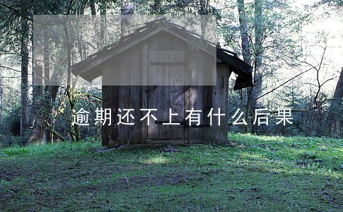 逾期还不上有什么后果 逾期还不上有什么后果