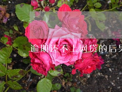 逾期还不上网贷的后果 逾期还不上网贷的后果