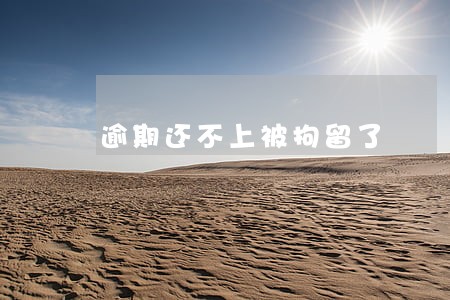 逾期还不上被拘留了