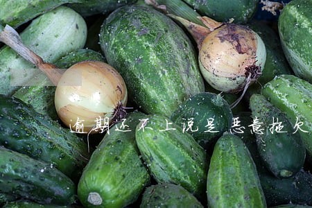 逾期还不上说是恶意拖欠 逾期还不上说是恶意拖欠