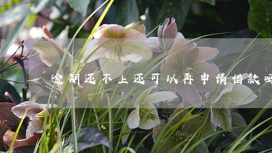 逾期还不上还可以再申请借款吗 逾期还不上还可以再申请借款吗