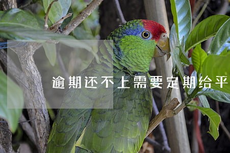 逾期还不上需要定期给平台报备吗 逾期还不上需要定期给平台报备吗