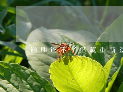 逾期还不了借款重新签订借条 逾期还不了借款重新签订借条