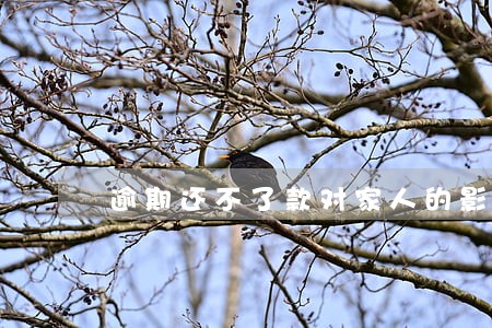 逾期还不了款对家人的影响 逾期还不了款对家人的影响