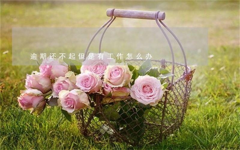 逾期还不起但是有工作怎么办 逾期还不起但是有工作怎么办