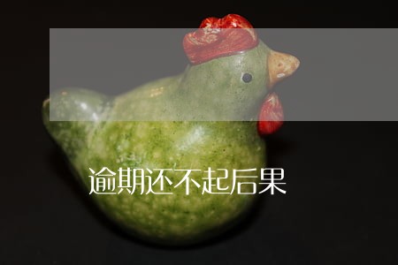 逾期还不起后果