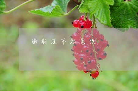 逾期还不起案例 逾期还不起案例