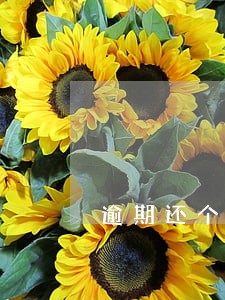 逾期还个人购房贷款 逾期还个人购房贷款
