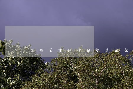 逾期还书的滞纳金怎么缴纳 逾期还书的滞纳金怎么缴纳