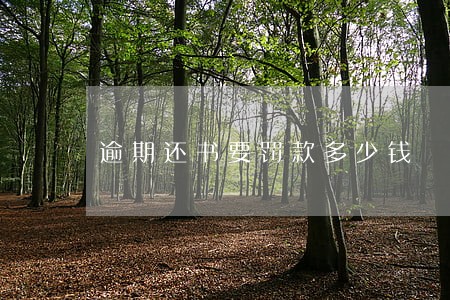 逾期还书要罚款多少钱 逾期还书要罚款多少钱