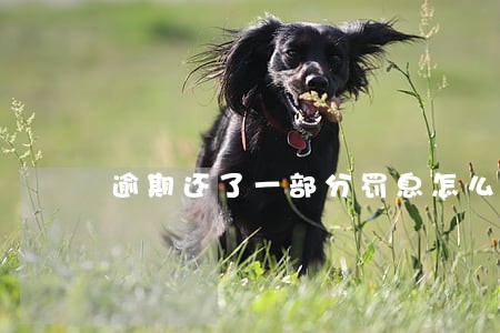 逾期还了一部分罚息怎么算 逾期还了一部分罚息怎么算