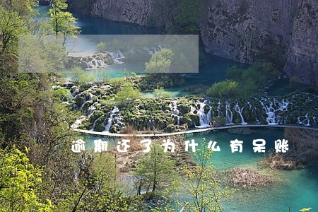 逾期还了为什么有呆账 逾期还了为什么有呆账