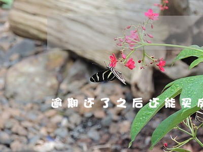 逾期还了之后还能买房吗 逾期还了之后还能买房吗