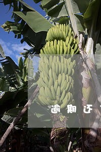 逾期还了什么时候征信恢复 逾期还了什么时候征信恢复