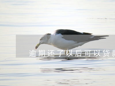 逾期还了以后可以贷款买房吗 逾期还了以后可以贷款买房吗