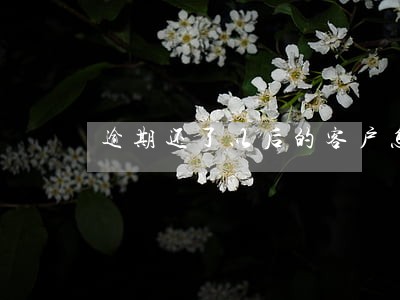 逾期还了以后的客户怎么贷款 逾期还了以后的客户怎么贷款