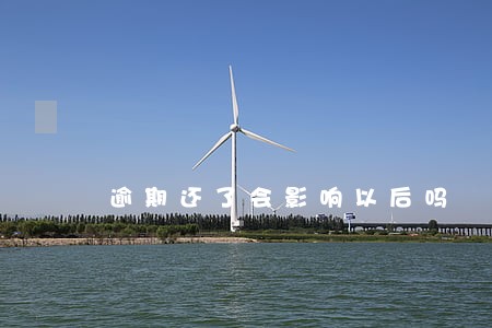 逾期还了会影响以后吗
