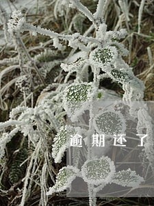 逾期还了信用评分恢复吗 逾期还了信用评分恢复吗