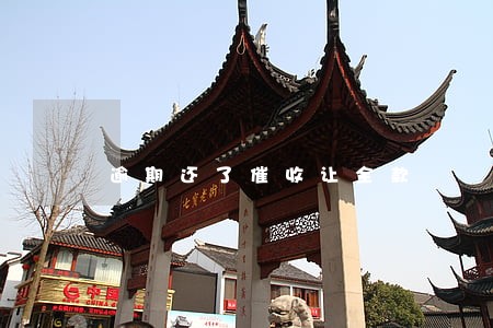 逾期还了催收让全款 逾期还了催收让全款