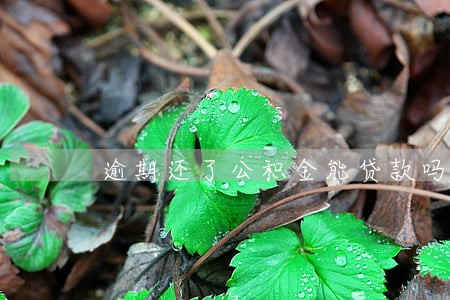 逾期还了公积金能贷款吗 逾期还了公积金能贷款吗