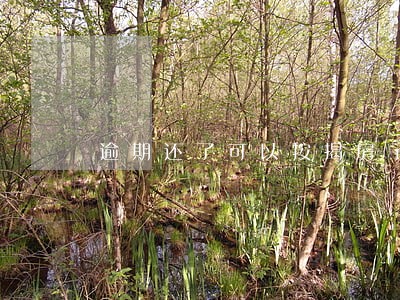 逾期还了可以按揭房子吗 逾期还了可以按揭房子吗