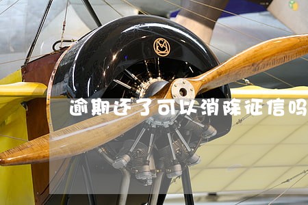 逾期还了可以消除征信吗 逾期还了可以消除征信吗