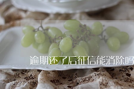 逾期还了后征信能消除吗